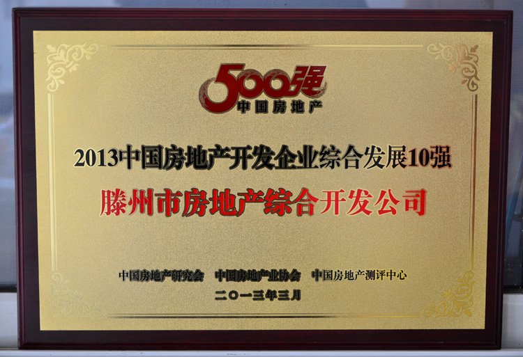 13-3-2013中國房地產(chǎn)開發(fā)企業(yè)10強(qiáng).jpg